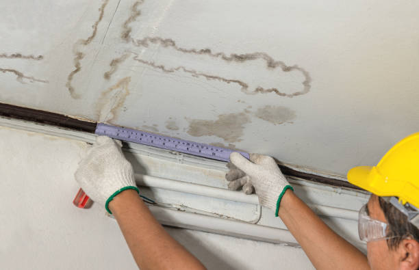 Reliable Mold Remediation contractor in Gorham, NH by Local Water Damage Repair